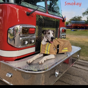 Fundraising Page: Smokey McSmokerson